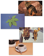 Photo Articulation Library